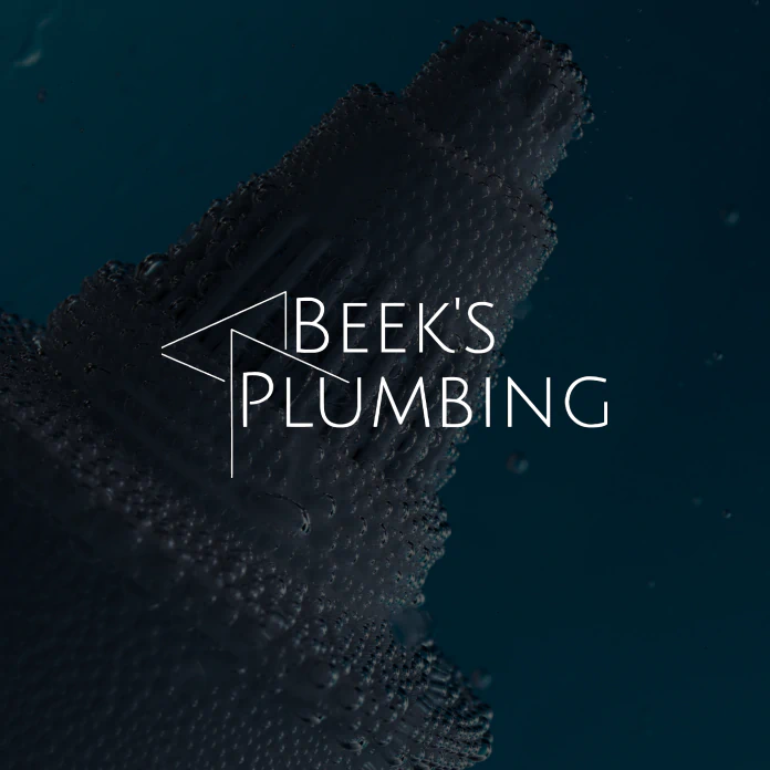 Beek's Plumbing SEO 2